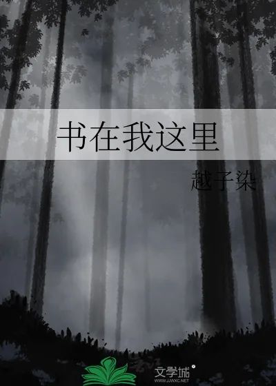 《书在我这里》小说封面