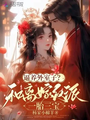 《逼养外室子?和离嫁反派一胎三宝》小说封面
