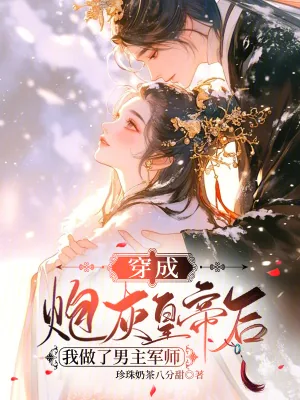 《穿成炮灰皇帝后我做了男主军师》小说封面