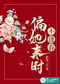 《偏她来时不逢春》小说封面