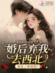 《婚后弃我去西北,我死了你疯啥?》小说封面