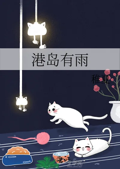 《港岛有雨》小说封面