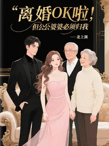 《离婚OK啦，但公公婆婆必须归我》小说封面