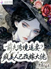 《前夫跨境追妻?疯美人已改嫁大佬》小说封面