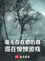 《毫无存在感的我混在惊悚游戏》小说封面