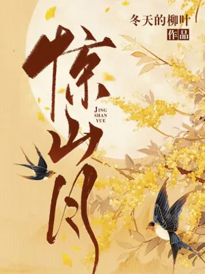 《惊山月》小说封面
