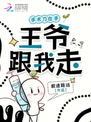 《手术刀在手,王爷跟我走》小说封面