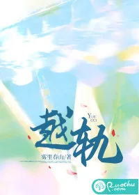 《越轨》小说封面