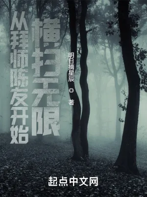 《从拜师陈友开始横扫无限》小说封面