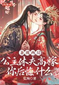 《兼祧两房？公主休夫高嫁你后悔什么》小说封面