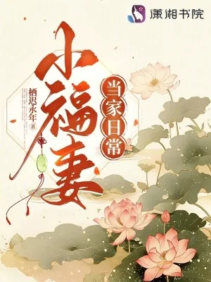 《小福妻当家日常》小说封面