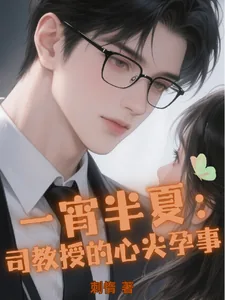 《一宵半夏：司教授的心尖孕事》小说封面