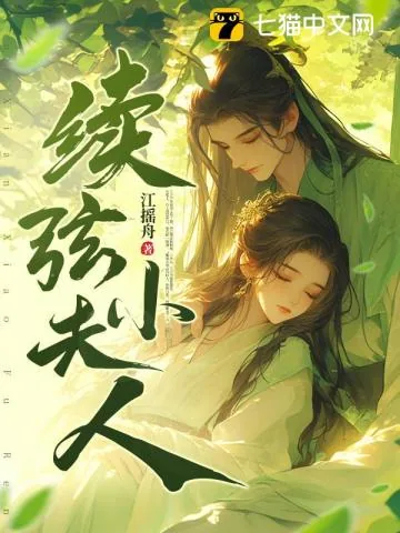 《续弦小夫人》小说封面