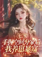 《七零:手握空间分家后,我养崽暴富》小说封面
