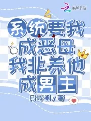 《系统要我成恶母,我非养他成男主》小说封面