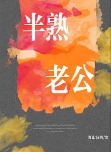 《半熟老公》小说封面