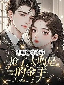 《小助理变美后，抢了大明星的金主》小说封面