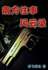 《南方往事风云录》小说封面
