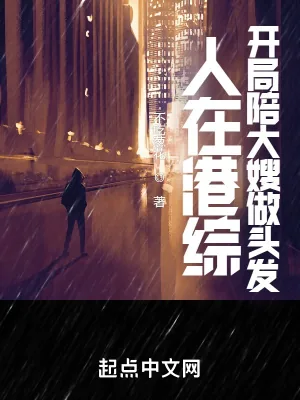 《人在港综，开局陪大嫂做头发》小说封面