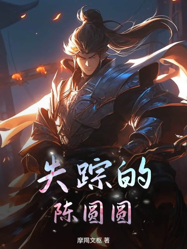 《失踪的陈圆圆》小说封面