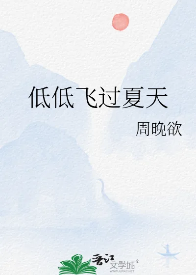 《低低飞过夏天》小说封面