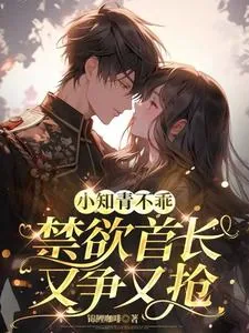 《小知青不乖，禁欲首长又争又抢》小说封面