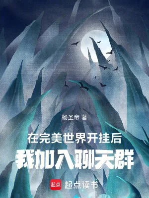 《在完美开挂后，我加入聊天群》小说封面