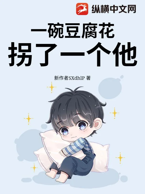 《一碗豆腐花拐了一个他》小说封面