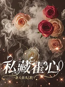 《私藏霍心》小说封面