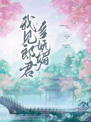 《我见郎君多妩媚》小说封面