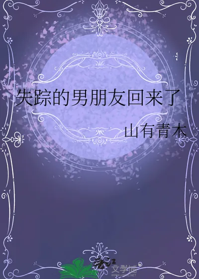 《失踪的男朋友回来了》小说封面