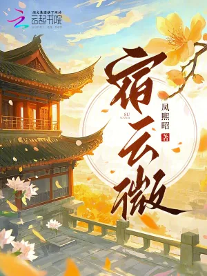 《宿云微》小说封面