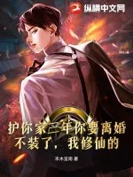 《护你家三年你要离婚?不装了,我修仙的!》小说封面