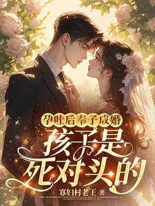 《孕吐后奉子成婚:孩子是死对头的》小说封面
