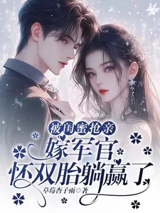 《被闺蜜抢亲,嫁军官怀双胎躺赢了》小说封面