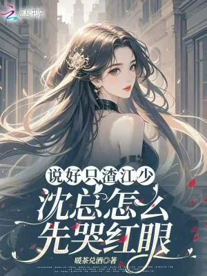 《说好只渣江少,沈总怎么先哭红眼》小说封面