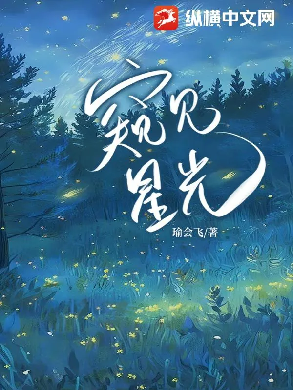 《窥见星光》小说封面