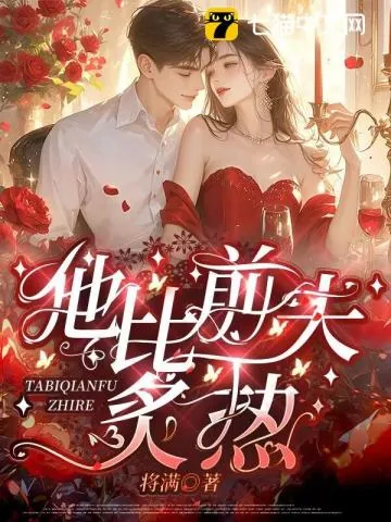 《夺妻》小说封面