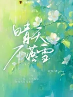 《晴天不落雪》小说封面