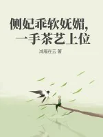《侧妃乖软妩媚，一手茶艺上位》小说封面