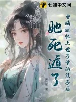 《替嫡姐怀上世子爷的孩子后,她死遁了》小说封面
