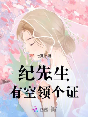 《纪先生，有空领个证》小说封面