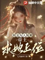 《娇妾勾人妩媚,帝王求她上位》小说封面