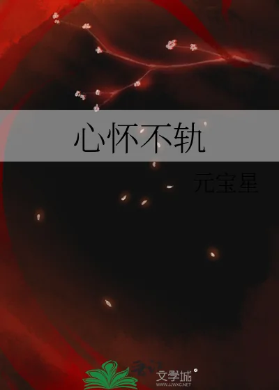 《心怀不轨》小说封面