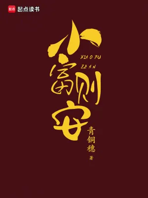 《小富则安》小说封面