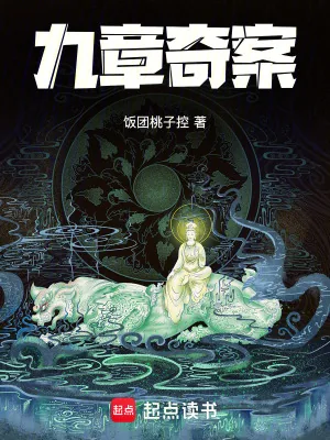 《九章奇案》小说封面