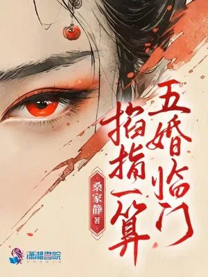 《掐指一算，五婚临门》小说封面