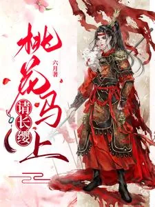 《宋惜惜战北望》小说封面