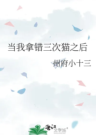 《当我拿错三次猫之后》小说封面