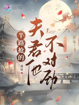 《半路抢的夫君他不对劲》小说封面
